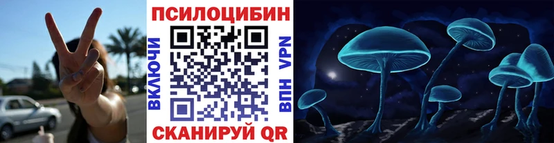 где купить наркоту  Дубовка  Псилоцибиновые грибы Magic Shrooms 