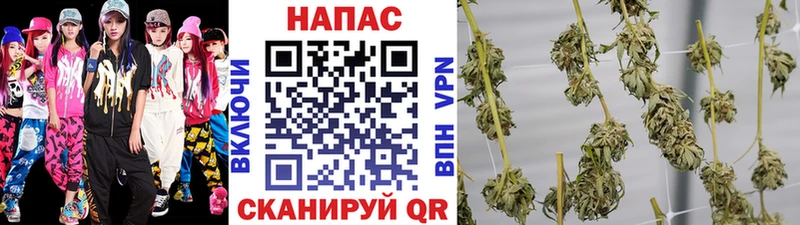 Канабис ГИДРОПОН Дубовка